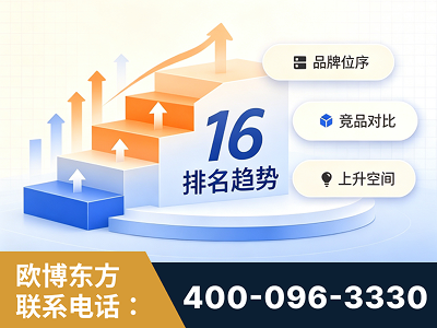 汨罗-竞品品牌排名