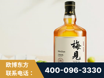 汨罗-梅见青梅酒
